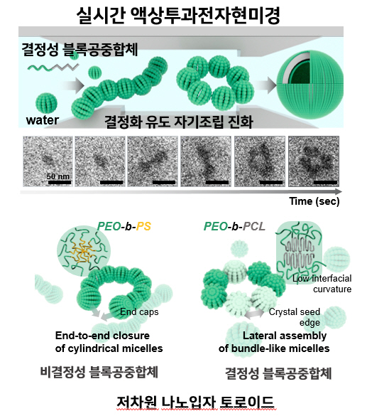 [연구성과] 이은지 교수 연구팀, 고분자 나노구조 진화 과정 실시간 관찰·규명 세계 최초 성공