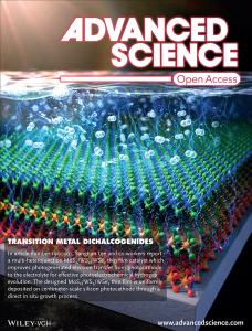 54. Direct In situ Growth of Centimeter-scale Multi-heterojunction MoS2/WS2/WSe2 Thin Film Catalyst For Photoelectrochemical Hydrogen Evolution (Press release & selected as a frontispiece)